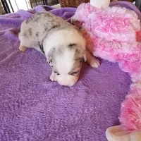 processed/94d0c0d8-bc39-453d-a54d-e983d42f8ff4/facility/f15cb32e-54ad-4c12-8541-c7d918ceb513