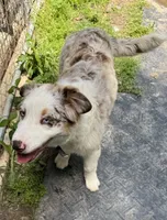 processed/94d0c0d8-bc39-453d-a54d-e983d42f8ff4/listing/438e4432-8c07-4ec1-91c2-8acfe0a4e270/56c969df-9d9d-4413-a993-00cf4b372299