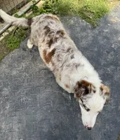 processed/94d0c0d8-bc39-453d-a54d-e983d42f8ff4/listing/438e4432-8c07-4ec1-91c2-8acfe0a4e270/9686caed-62e4-4316-ac89-7bc27b5b93ac