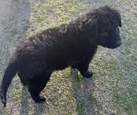 processed/94d0c0d8-bc39-453d-a54d-e983d42f8ff4/listing/acfcd73a-d4d4-4cb1-833e-a86432f43d31/01fe7174-7d92-4522-95e4-a346688ce39e