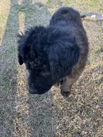 processed/94d0c0d8-bc39-453d-a54d-e983d42f8ff4/listing/acfcd73a-d4d4-4cb1-833e-a86432f43d31/09275954-0928-4b91-a762-e988e936cf85