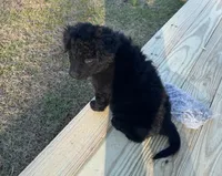 processed/94d0c0d8-bc39-453d-a54d-e983d42f8ff4/listing/acfcd73a-d4d4-4cb1-833e-a86432f43d31/4d2bc4d0-8b0c-48e9-a9a2-e4d768f89266