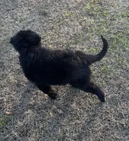 processed/94d0c0d8-bc39-453d-a54d-e983d42f8ff4/listing/acfcd73a-d4d4-4cb1-833e-a86432f43d31/570ff53a-6cde-4724-8613-03fedf36cfde