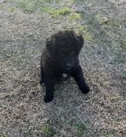 processed/94d0c0d8-bc39-453d-a54d-e983d42f8ff4/listing/acfcd73a-d4d4-4cb1-833e-a86432f43d31/7e5c7343-f92f-4c84-8499-ffe915ba3532