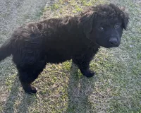 processed/94d0c0d8-bc39-453d-a54d-e983d42f8ff4/listing/acfcd73a-d4d4-4cb1-833e-a86432f43d31/99315ca6-76fd-4775-a0f1-14f607224eb0