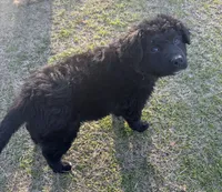 processed/94d0c0d8-bc39-453d-a54d-e983d42f8ff4/listing/acfcd73a-d4d4-4cb1-833e-a86432f43d31/f7bdbb4f-8e84-4d95-9f8b-4bd9002c235c