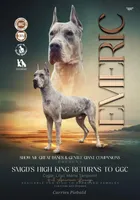 Eloise, a female Great Dane for sale in Hallettsville, TX – Photo 7 of 10