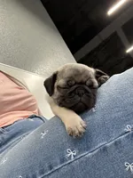 processed/94e9c340-5625-4e1e-a693-12e9e8dd6ee6/listing/04455d3a-2a4c-4a44-b100-e1bf210b6fb3/59ac4435-56aa-4792-9237-f6954ef8298c