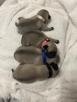 processed/94e9c340-5625-4e1e-a693-12e9e8dd6ee6/listing/04455d3a-2a4c-4a44-b100-e1bf210b6fb3/7904e74c-72be-4588-a80d-8271c27df5dc