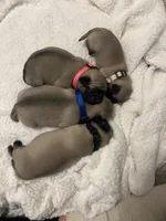 processed/94e9c340-5625-4e1e-a693-12e9e8dd6ee6/listing/04455d3a-2a4c-4a44-b100-e1bf210b6fb3/90f58714-edac-4761-b5e8-5045afa9a760