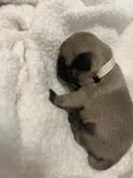 processed/94e9c340-5625-4e1e-a693-12e9e8dd6ee6/listing/04455d3a-2a4c-4a44-b100-e1bf210b6fb3/aed7d9d7-9e71-4d26-a9b8-c155be9c4829