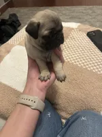 processed/94e9c340-5625-4e1e-a693-12e9e8dd6ee6/listing/04455d3a-2a4c-4a44-b100-e1bf210b6fb3/b0312123-4e16-4f57-96d8-2f3157f44aba