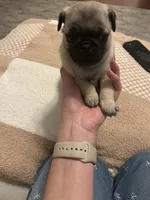 processed/94e9c340-5625-4e1e-a693-12e9e8dd6ee6/listing/04455d3a-2a4c-4a44-b100-e1bf210b6fb3/d544d9eb-6015-4654-82f3-2e3cd4859c03