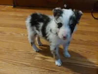 processed/94ee5086-52ee-4de9-b867-bb130dbf7afd/listing/ff951c6b-f831-4d68-be1e-4f7c7fb0868c/3e5a4a36-fd56-47bc-ae97-cc8e027a894c