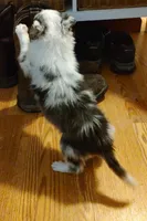 processed/94ee5086-52ee-4de9-b867-bb130dbf7afd/listing/ff951c6b-f831-4d68-be1e-4f7c7fb0868c/63612b8e-d096-49d4-8e0b-12a2213f25f3