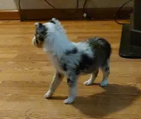 processed/94ee5086-52ee-4de9-b867-bb130dbf7afd/listing/ff951c6b-f831-4d68-be1e-4f7c7fb0868c/812f4d8a-dc7f-4ac6-b09e-ee8a0179319a