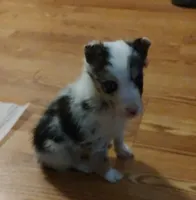 processed/94ee5086-52ee-4de9-b867-bb130dbf7afd/listing/ff951c6b-f831-4d68-be1e-4f7c7fb0868c/ac2b9861-c776-421e-87e5-edbea6075a9b