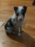 processed/94ee5086-52ee-4de9-b867-bb130dbf7afd/listing/ff951c6b-f831-4d68-be1e-4f7c7fb0868c/f73216fb-a438-497d-b34f-49a0681131f3