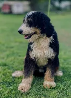 processed/94f35a18-e3cb-427e-999c-5c6080df35e3/listing/0072b579-1de1-424c-b7be-e3d933bce7b8/5fbcc14a-5f2d-42c2-83e1-d571a6e7635c