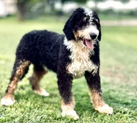 processed/94f35a18-e3cb-427e-999c-5c6080df35e3/listing/0072b579-1de1-424c-b7be-e3d933bce7b8/cb9ba17b-b95f-4628-a271-d97c540afa42