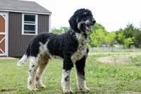 processed/94f35a18-e3cb-427e-999c-5c6080df35e3/listing/13ff7d26-7e49-461b-bd6b-46884601e6e7/42180491-e1ec-4963-b533-50f541b17572