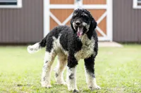 processed/94f35a18-e3cb-427e-999c-5c6080df35e3/listing/13ff7d26-7e49-461b-bd6b-46884601e6e7/777fb1d5-3522-4898-8780-552945f0a904