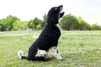 processed/94f35a18-e3cb-427e-999c-5c6080df35e3/listing/13ff7d26-7e49-461b-bd6b-46884601e6e7/b3b647f5-460d-41d3-bb05-652320ac3a7b