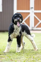 processed/94f35a18-e3cb-427e-999c-5c6080df35e3/listing/13ff7d26-7e49-461b-bd6b-46884601e6e7/e1f1cf17-ae8e-4bd3-8f13-a253fcf7cae9