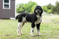 processed/94f35a18-e3cb-427e-999c-5c6080df35e3/listing/13ff7d26-7e49-461b-bd6b-46884601e6e7/e1f7fcf2-214f-4afb-b110-52dbe0788aa3