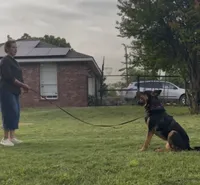 processed/94f35a18-e3cb-427e-999c-5c6080df35e3/listing/3567ce46-c974-4f88-b5b7-5c8a7a74b722/6b471d2c-d23d-4a4f-88c2-54ff857c9dd5