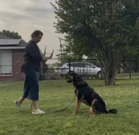 processed/94f35a18-e3cb-427e-999c-5c6080df35e3/listing/3567ce46-c974-4f88-b5b7-5c8a7a74b722/81d58111-bf90-4481-be76-b0e01a75157c