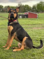 processed/94f35a18-e3cb-427e-999c-5c6080df35e3/listing/3567ce46-c974-4f88-b5b7-5c8a7a74b722/b9adf4a1-3774-4df1-a6b8-70f6f7c46fde