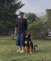 processed/94f35a18-e3cb-427e-999c-5c6080df35e3/listing/3567ce46-c974-4f88-b5b7-5c8a7a74b722/bf585ac9-d559-4f3e-8670-6cbe77125b62