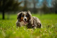 processed/94f35a18-e3cb-427e-999c-5c6080df35e3/listing/3eb5cd8a-a770-4722-abe8-3dae48cc52ed/db6a8b92-8f81-4bf5-92f5-26a689f203de