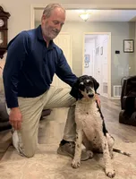 Gary, a female Poodle - Standard  for sale in Elm Mott, TX – 3 of 6