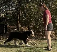 processed/94f35a18-e3cb-427e-999c-5c6080df35e3/listing/bfb25b26-c2db-427a-888a-d714b61ac750/2ad476b4-c7bf-492c-83c3-51bc82013c30