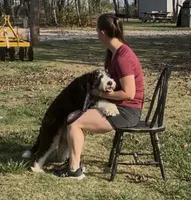 processed/94f35a18-e3cb-427e-999c-5c6080df35e3/listing/bfb25b26-c2db-427a-888a-d714b61ac750/e5afc41a-b594-4088-b4d9-7d02aa74c5ef