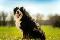 processed/94f35a18-e3cb-427e-999c-5c6080df35e3/listing/d91674a8-8620-4623-981d-919afccbff99/19dd3ae6-9bd1-4a02-91f9-8b9b49cc14bd