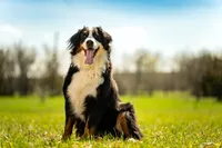 processed/94f35a18-e3cb-427e-999c-5c6080df35e3/listing/d91674a8-8620-4623-981d-919afccbff99/9a39dd4b-bbb5-411b-abca-7865d8a13582