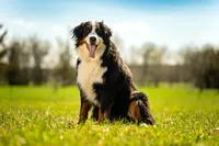 processed/94f35a18-e3cb-427e-999c-5c6080df35e3/listing/d91674a8-8620-4623-981d-919afccbff99/a7608ba4-b2e7-40eb-8fc7-252ddd002b13