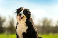 processed/94f35a18-e3cb-427e-999c-5c6080df35e3/listing/d91674a8-8620-4623-981d-919afccbff99/d55c70a4-e616-47f9-aad1-b15feeae0018