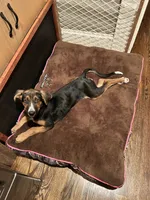 processed/94f92e31-3c19-4fbb-9cfe-3cd8c889beb2/listing/4a449b7e-1953-4191-9cdc-468308a6eea9/0ebf77b8-7a9f-4e9b-92bd-d59ab86b318e