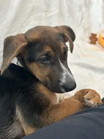 processed/94f92e31-3c19-4fbb-9cfe-3cd8c889beb2/listing/4a449b7e-1953-4191-9cdc-468308a6eea9/28a89e2c-806e-4e0c-b7f6-f026ec8f3bcf