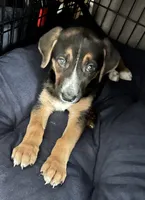 processed/94f92e31-3c19-4fbb-9cfe-3cd8c889beb2/listing/4a449b7e-1953-4191-9cdc-468308a6eea9/421c8e95-73f4-460d-ac50-3e54480fa70d