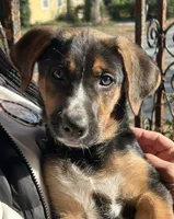 processed/94f92e31-3c19-4fbb-9cfe-3cd8c889beb2/listing/4a449b7e-1953-4191-9cdc-468308a6eea9/5bb9d10a-0e0e-41e7-bc49-b079207f6370