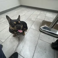 processed/94f99342-fb49-4338-991d-e818a13a401d/facility/3bdeece0-4386-4763-a090-e1b5ef8cc893