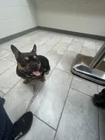 processed/94f99342-fb49-4338-991d-e818a13a401d/facility/3bdeece0-4386-4763-a090-e1b5ef8cc893