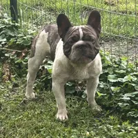 processed/94f99342-fb49-4338-991d-e818a13a401d/facility/5d8d4128-69a2-423d-a725-5c1b9a9e6b67