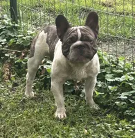 processed/94f99342-fb49-4338-991d-e818a13a401d/facility/5d8d4128-69a2-423d-a725-5c1b9a9e6b67