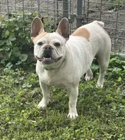 processed/94f99342-fb49-4338-991d-e818a13a401d/facility/8afa017b-ad79-46ab-96f2-1e7d5dd8938f